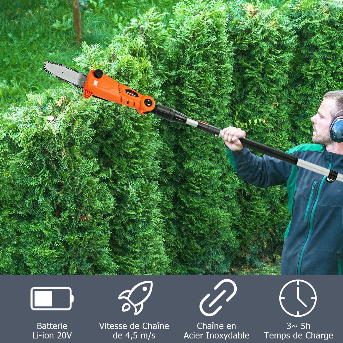 lagueuse Tlescopique sur Perche sans Fil 198 -274 cm Coupe Branche avec Batterie 20V et Chargeur Orange -