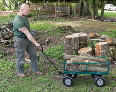 Draper Chariot de Jardin en Acier grillagé Vert,200kg